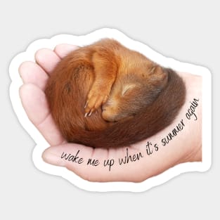 Wake me up when it's summer again sleeping squirrel Sticker